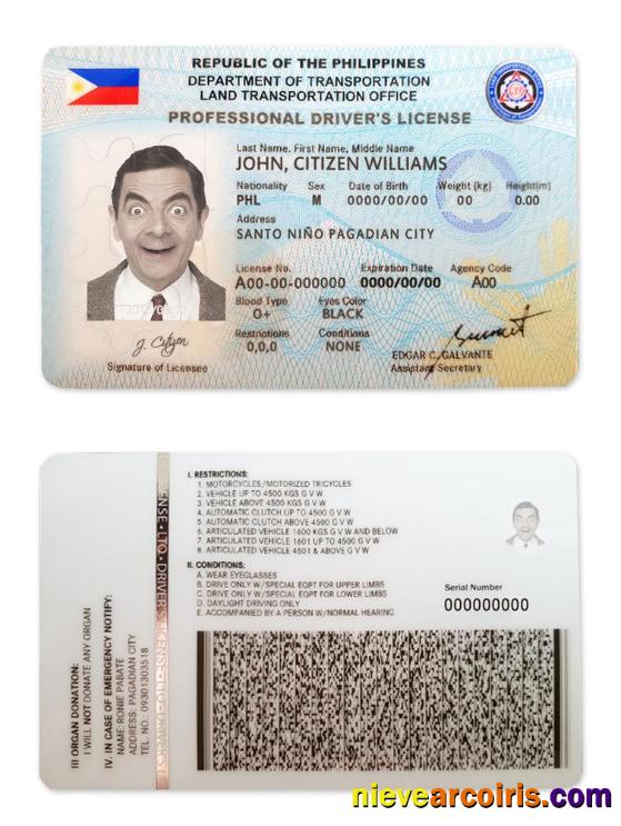 Philippines driving license